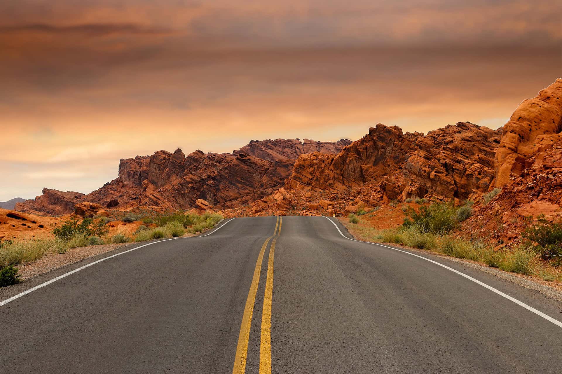 Lire la suite à propos de l’article Nevada