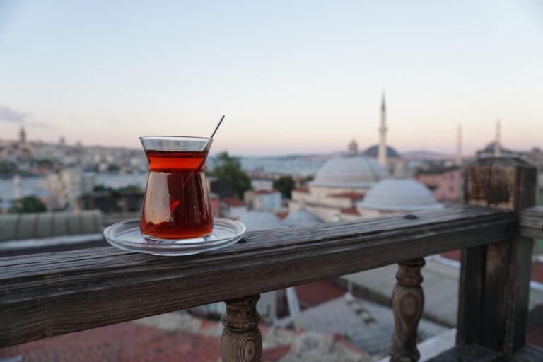 Istanbul : carrefour des mondes, entre héritage impérial et art de vivre